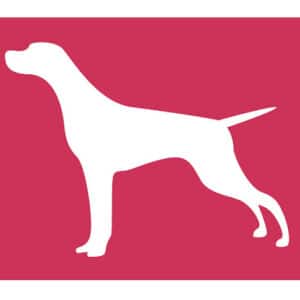 (OUT OF STOCK)Doppio Stencil 15x20 cm - Cane